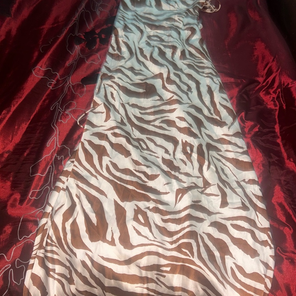 Zebra Print Dress